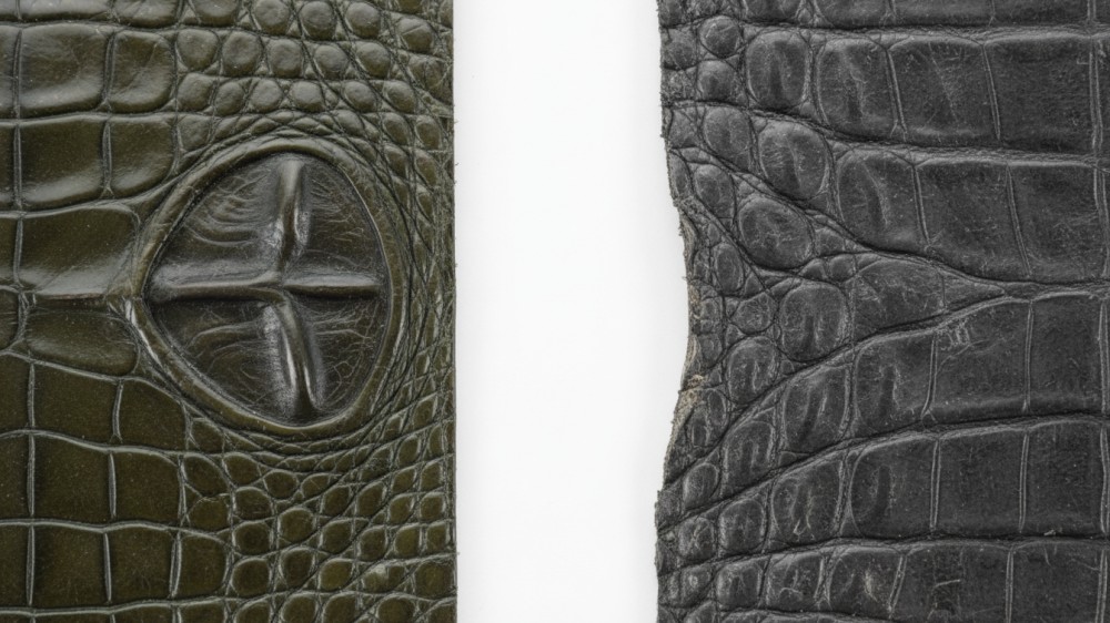 macro-view-of-alligator-umbilical-scar-and-crocodile-scale-patterns