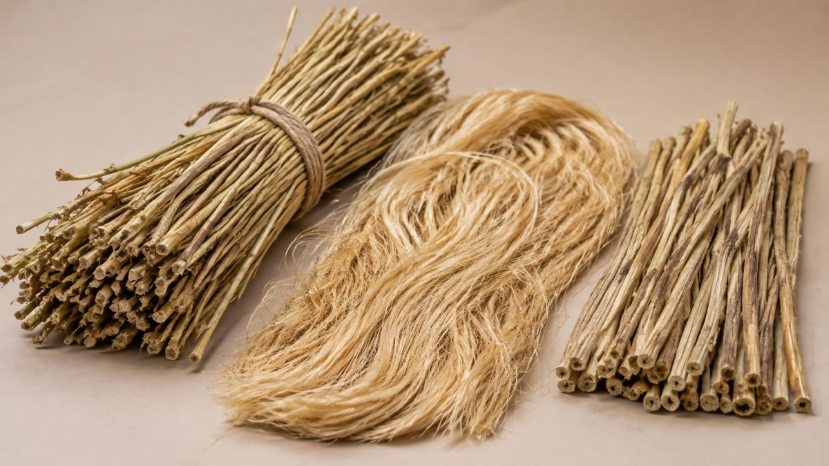 Jute fibers and woody stems